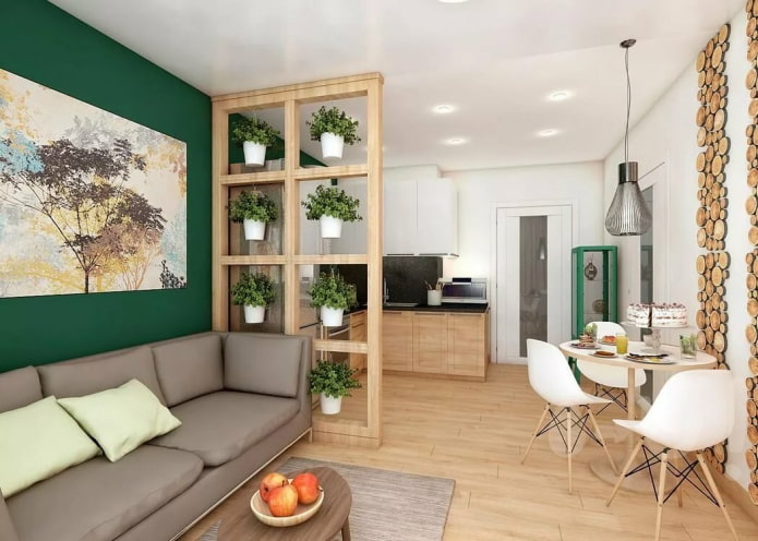 Option de zonage originale dans l'intérieur cuisine-salon