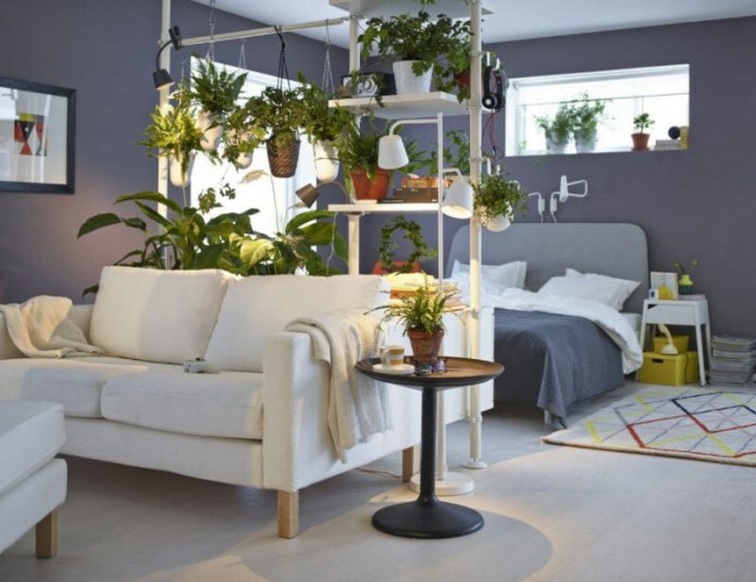 zonage avec des plantes